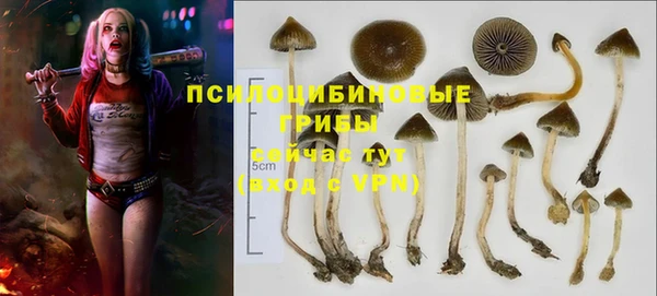 не бодяженный Беломорск