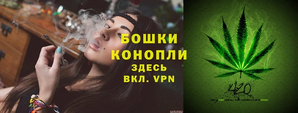 ГАЛЛЮЦИНОГЕННЫЕ ГРИБЫ Баксан